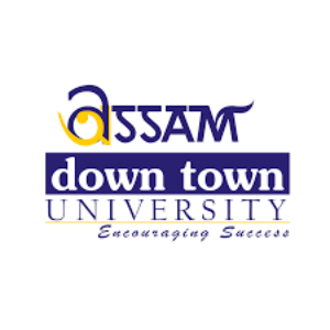 1100 Assam Down Town University(ADTU) Assam