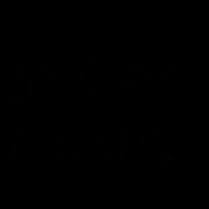 SCHOOL OF COMPUTER SCIENCES