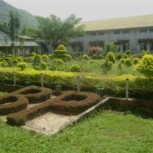 Bongaigaon Polytechnic(BP)