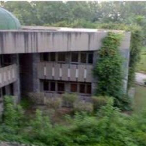 National Institute of Management(NIM)