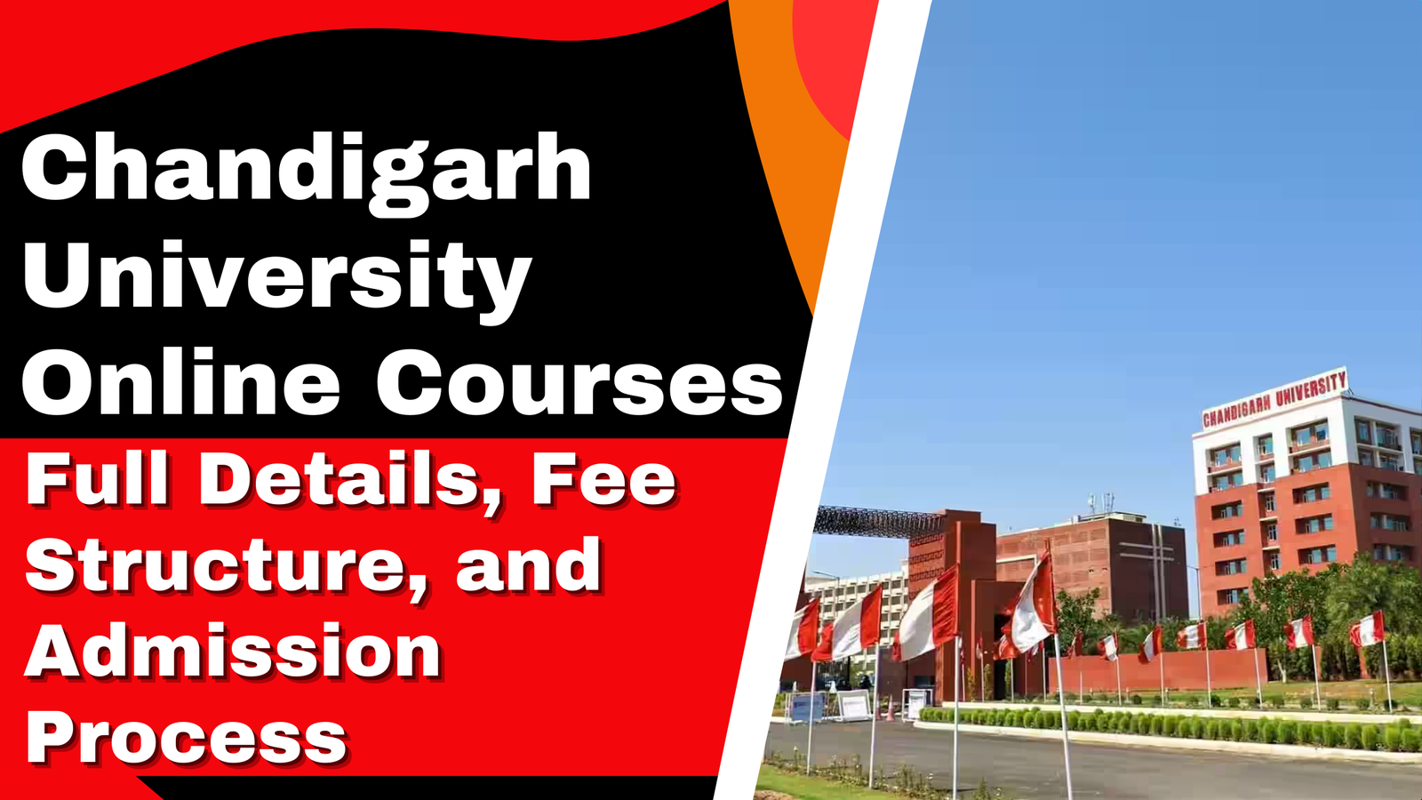 Chandigarh University Online Courses