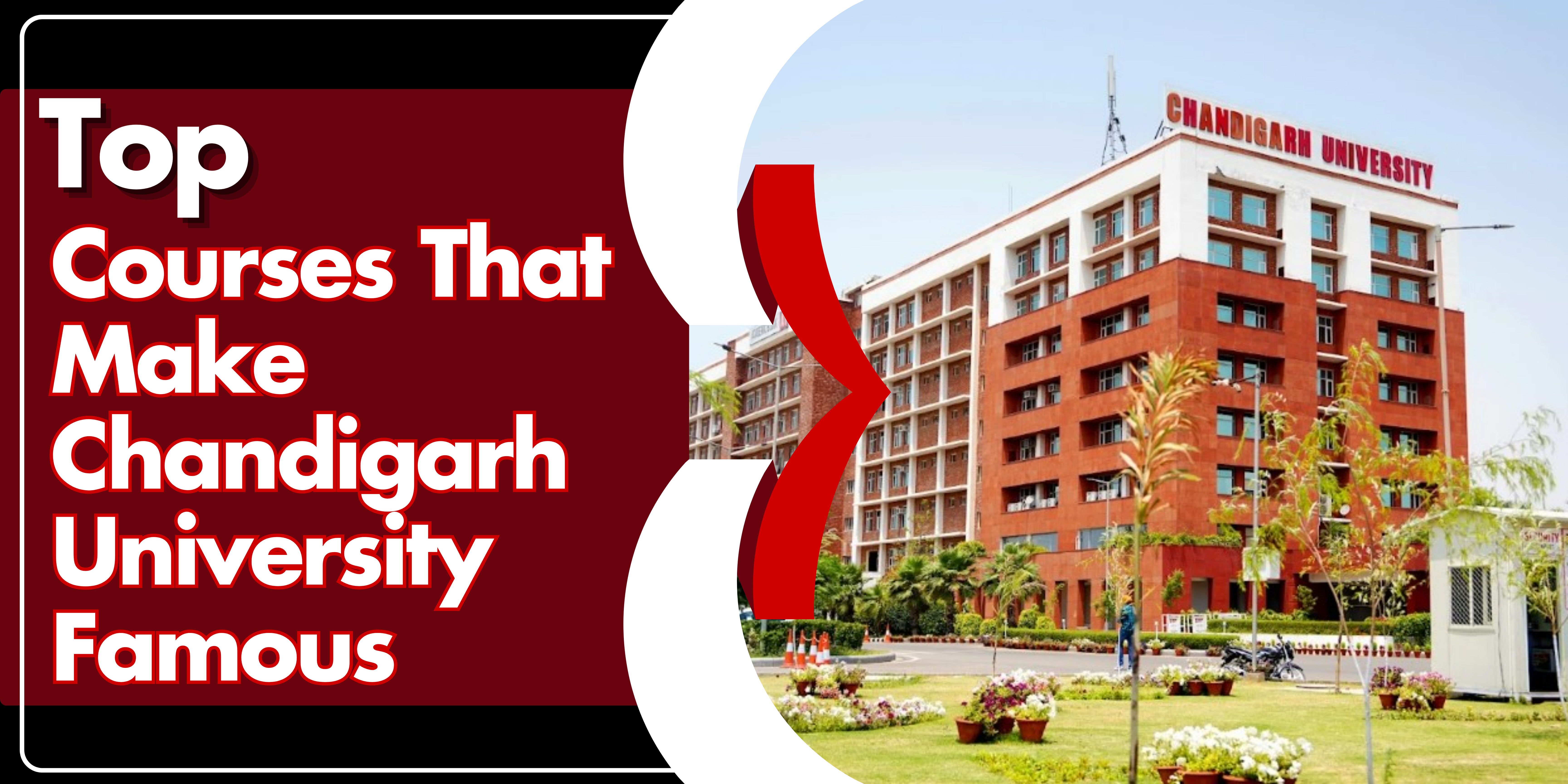 Top Courses That Make Chandigarh University Famous