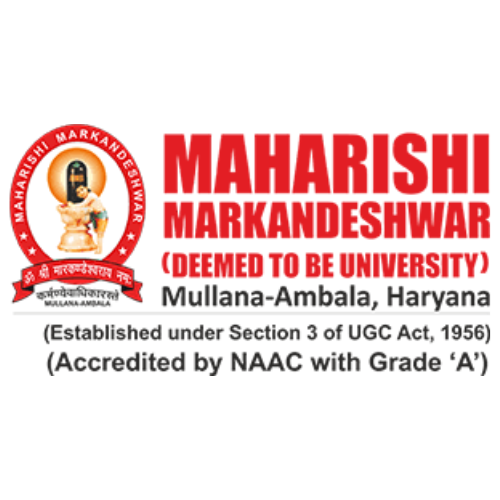 Black & Blue Minimalist Modern Initial Font Logo (4)