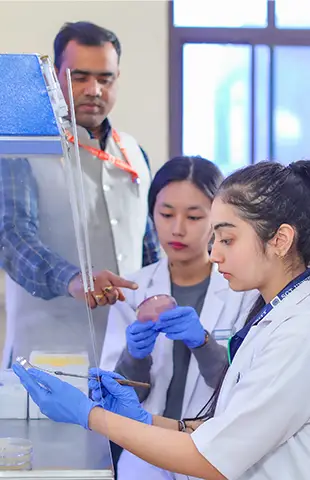 alliedHealthSciences