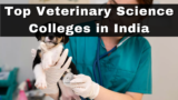 Top  Veterinary Science Colleges in India