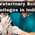 Veterinary Science Average Salary in India