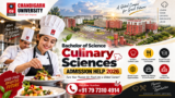 Chandigarh University Bachelor of Science – Culinary Sciences Admission Help 2026: Course, Eligibility, Fees, Career Scope & Admission Guide
