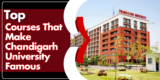 Top Courses That Make Chandigarh University Famous