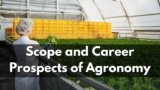 Scope and Career Prospects of Agronomy